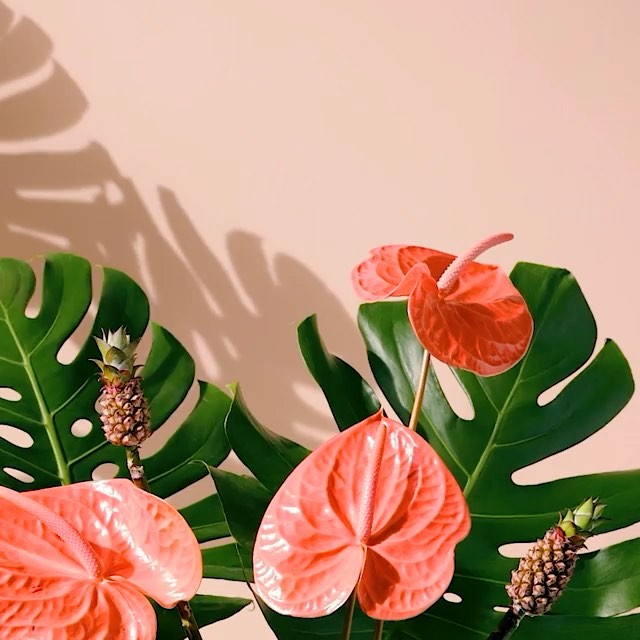 Instagram Post BUrZMICgMsv
