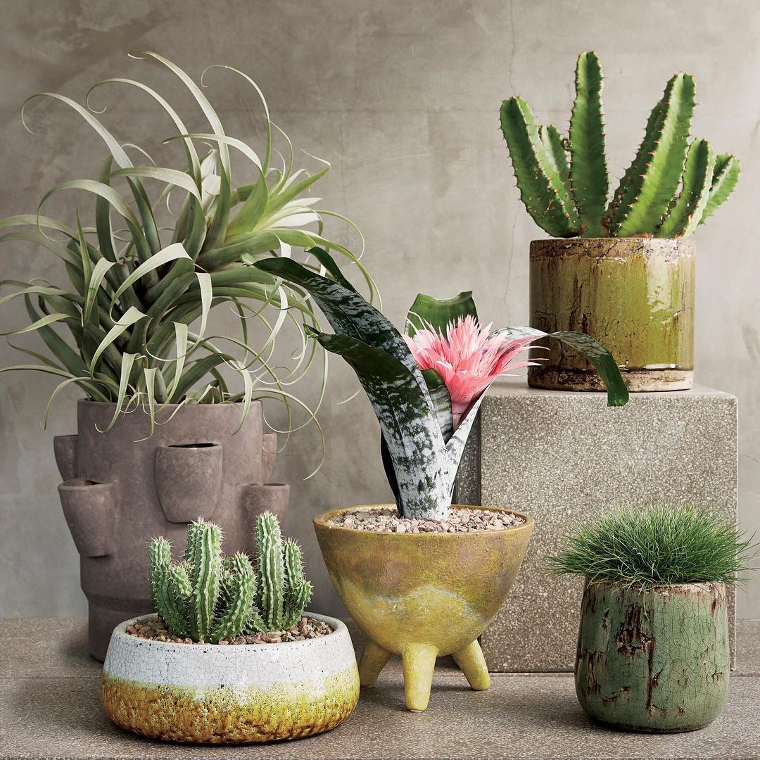 Instagram Post BihLJJ2Fx7N